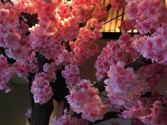 -小吴越·江浙融合菜(惠山万达广场店)