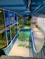 -KidSteam儿童乐园(富力城店)