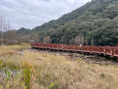 -广州市石门国家森林公园