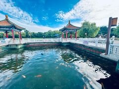 -长春市南湖公园