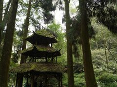 -青城山