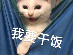 -阿飛冰室(下沙店)