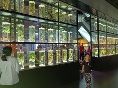 -广东中医药博物馆