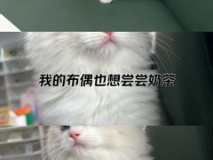 -顺强宠物诊所·狂犬免疫·夜诊·骨科(嘉定店)