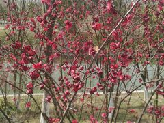 -四里河滨水生态公园