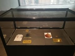 -张之洞与武汉博物馆