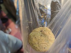 -运栋天马牛肉饼(林科大店)