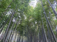 -南山风景名胜区