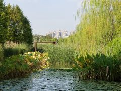 -东浩兰生上海世博展览馆