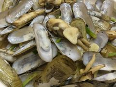 蛏子（姜葱炒）-乾隆美食·本帮菜(黄河路店)