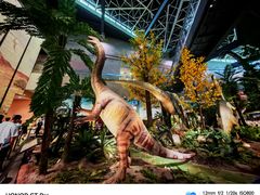 -湖南省地质博物馆