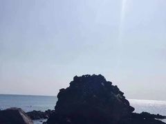 -涉地可支