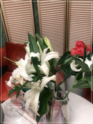 -卡尔诗·科技美肤连锁