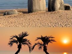 -东夷海鲜巨无霸(东夷小镇店)