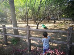 -北京麋鹿生态实验中心