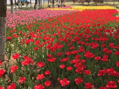 -青龙山国家森林公园