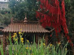 -西安汉城湖景区