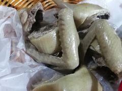 沙姜乳鸽-石岐乳鸽村(桥观坊南四巷店)