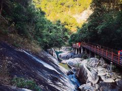 -广州白江湖森林公园