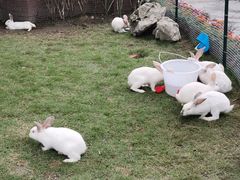 -洪湖家庭农场·团建·露营·会议