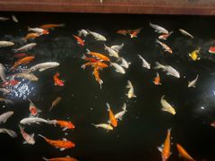 -侠成水上农庄(工业大道店)