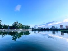 -莲花池公园