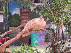 -正佳雨林生态植物园