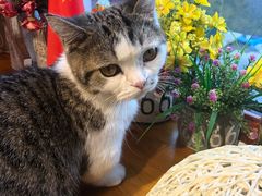 -IFIF 如果花園(宽厚里店)