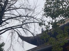-西园戒幢律寺