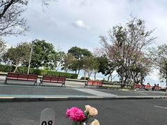 -ommo cafe(半岛城邦店)
