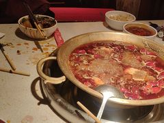 -小龙坎火锅(全球总店)