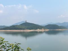 -望湖烤鱼