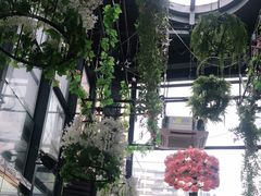 店内装修-聚缘·湘味音乐餐厅party(罗湖店)