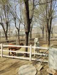 -优沃得自然教育农场·冰雪乐园·生日会·研学