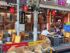 -八木轩·寻味大理白族民俗餐厅(文献路店)