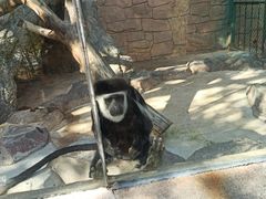 -泉州海丝野生动物世界