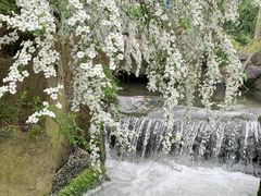 -中国茶叶博物馆(双峰馆区)
