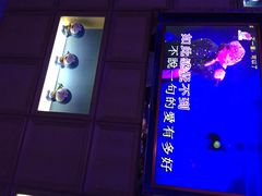 歌迷量贩KTV(南阳路店)-歌迷量贩KTV(南阳路店)
