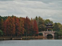 -长广溪湿地公园