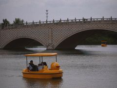-西京湾花海
