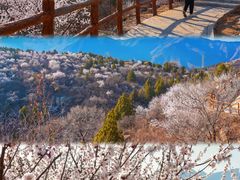 -白水寺森林公园