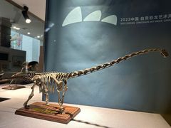 -自贡恐龙博物馆