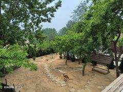 -大连森林动物园