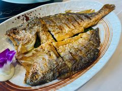 -龙泉人椰子鸡.糟粕醋.海南菜(三亚旗舰店)