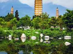 -瑞幸咖啡(7号国际商业中心店)