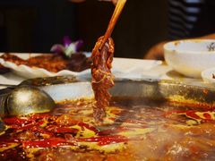-大龙燚火锅(春熙店)
