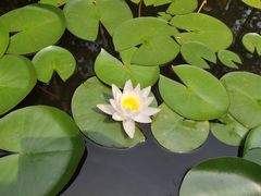 -林海公园