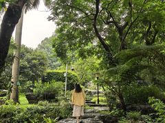 -东莞植物园