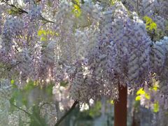 -白塘生态植物园