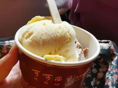 -大连圣亚海洋世界